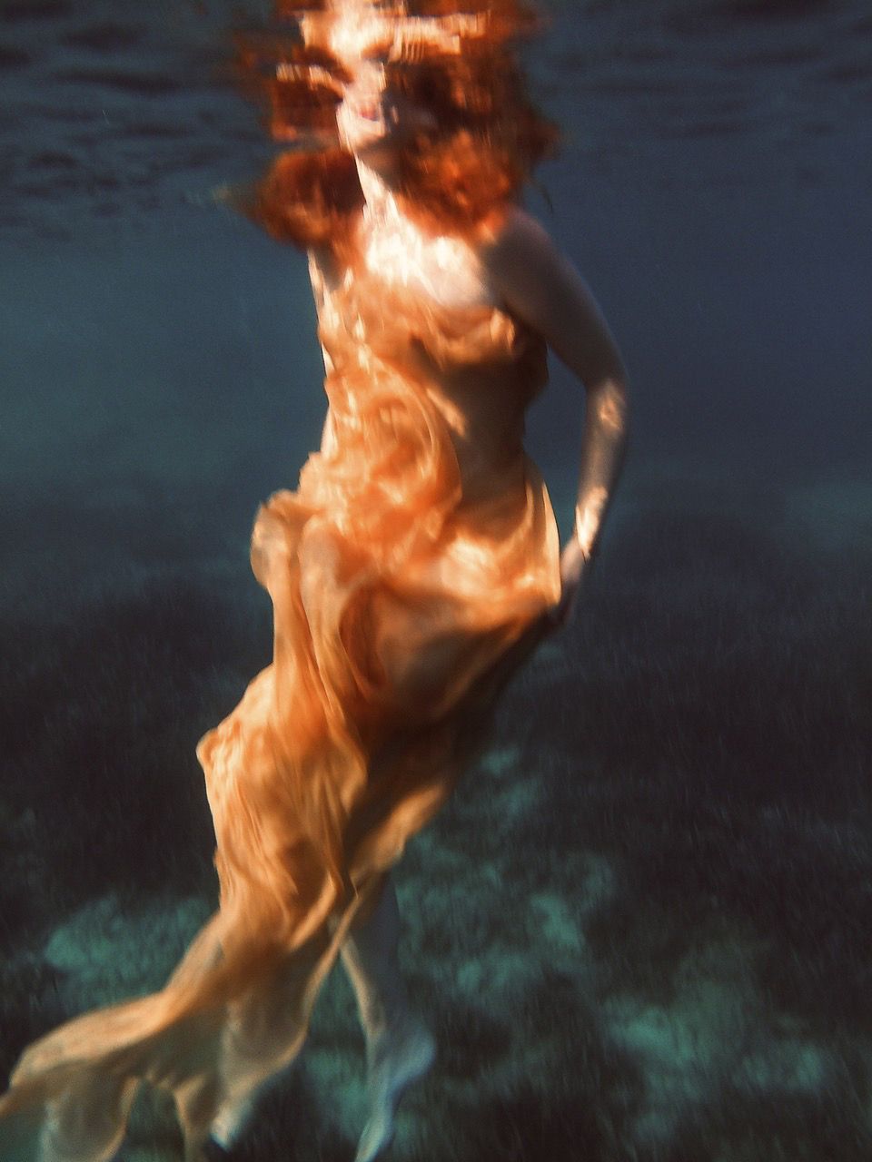 Cover image of Foto of the Day