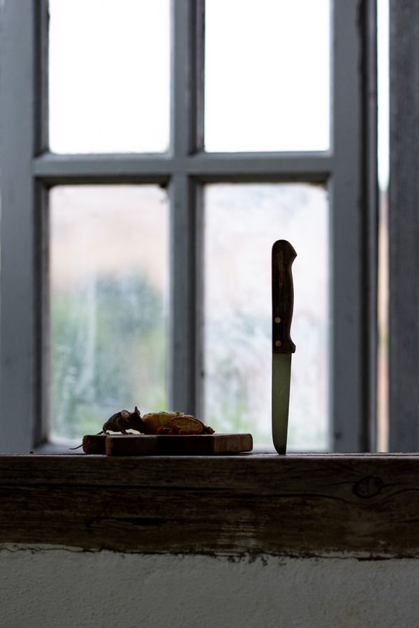 Character Building - Mouse stealing cheese_1920px.jpg