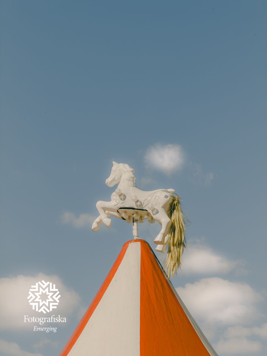 Memory of a Fair.jpg