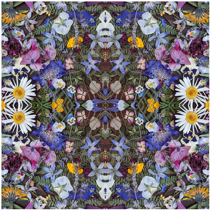 KHOL2026_KaleidBotanicals_WoodBox.Drawer_0003A_01IG.jpg