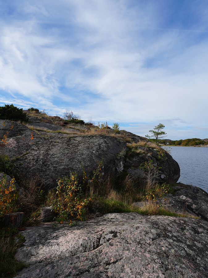 DSC03153-Sussi-C-Alminde-Sweden.jpg