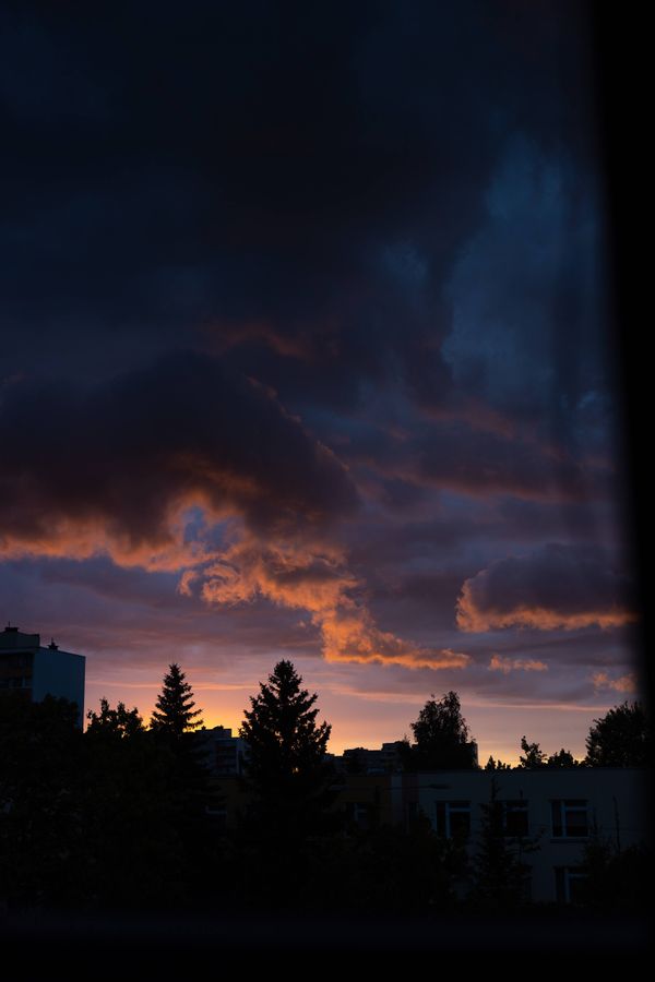 IMG_7060.jpg