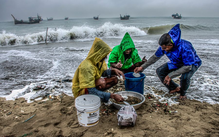 Sorting Life from the Storm.jpg