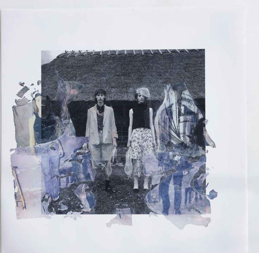 POLAROID EMULSION 1.jpg