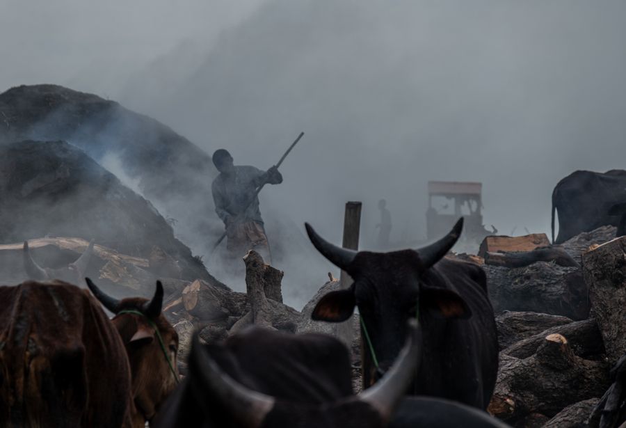 Feeding the Fire, Feeding the Family_Michael Steffen.jpg