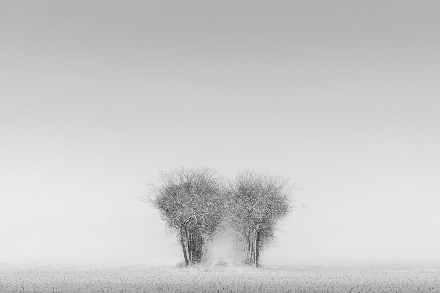 Breath of the Invisible.jpg