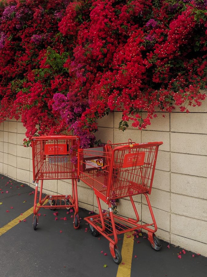 Kismet (Love in the parking lot).jpg