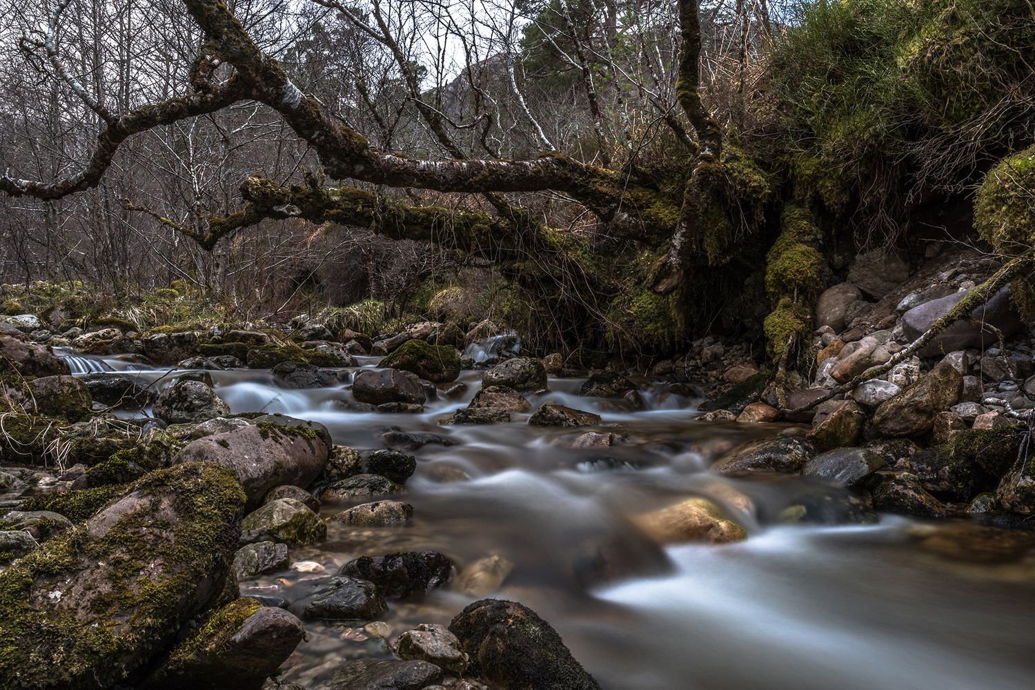 NORTHERN EUROPE LANDSCAPES_Michael_Steffen9.jpg