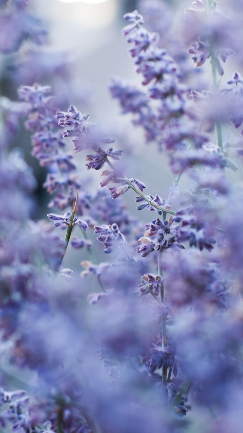 D69D8B66-795F-48F8-90DF-A469BDC5F682.jpeg