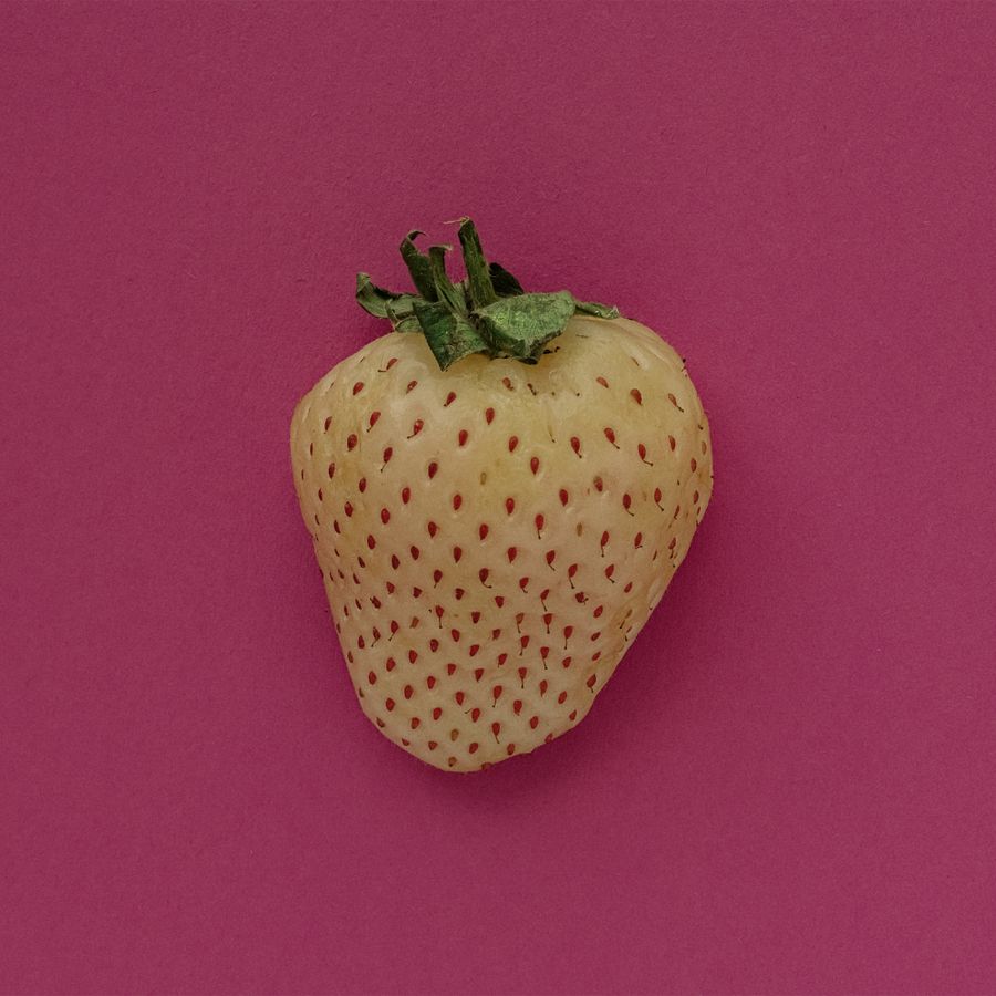 pale_fruit_pineberry_kat_janikowska-leett.jpg