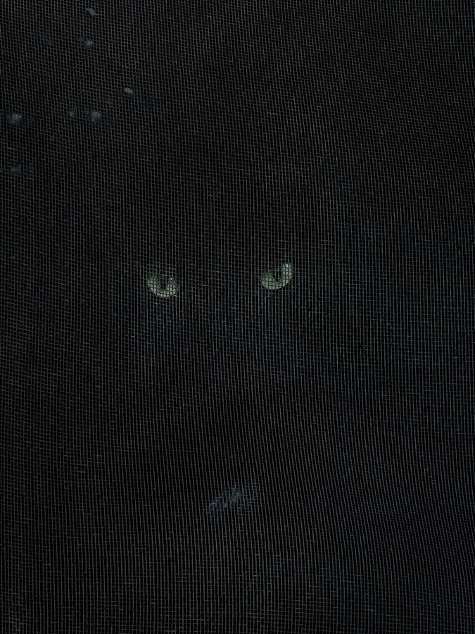 0D2DEFE5-F69F-46E8-8116-B69849988EB2.png