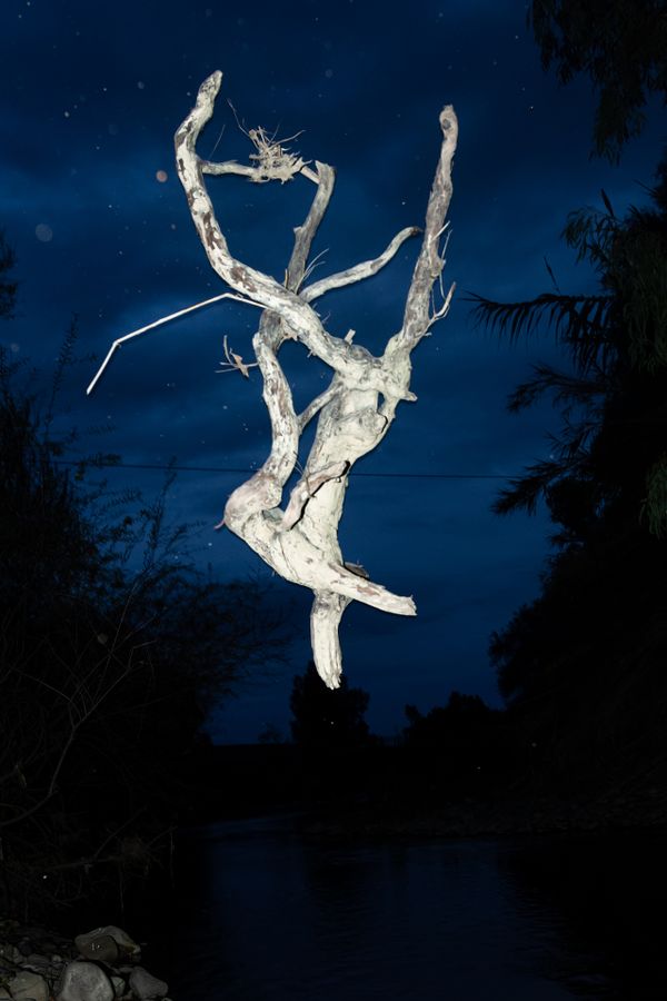 Character Building - Floating river root_1920px.jpg