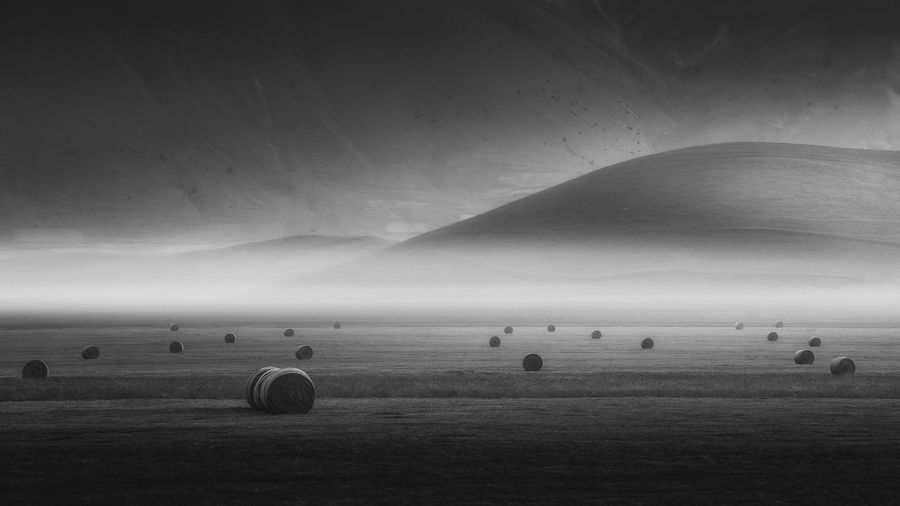 Where Light Sleeps.jpg