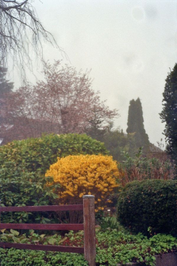 20035.jpg