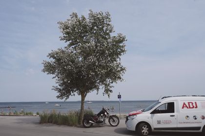 Sussi-C-Alminde-Hejlsminde-03.jpg