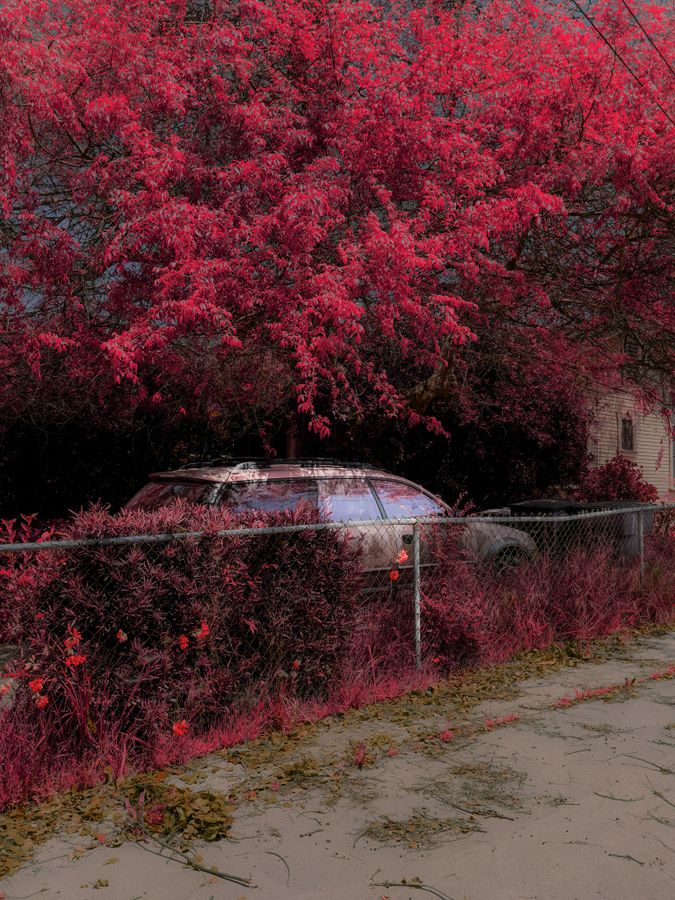 Driveways - Infrared Streets - Tommy Lei.jpg