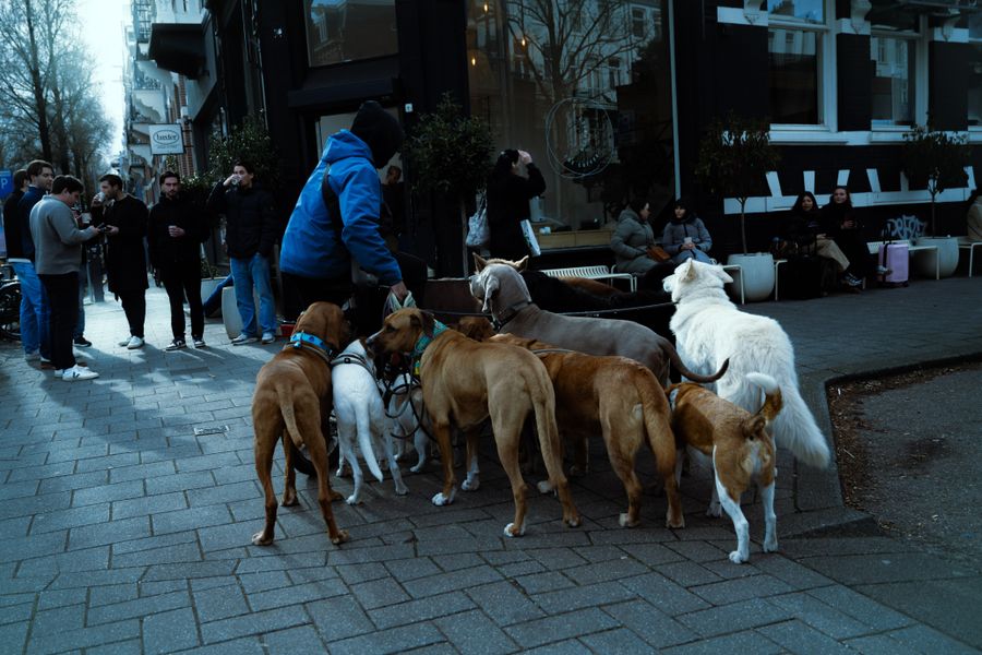 DSC_0670.jpeg