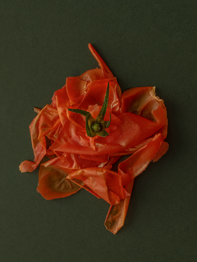tomato_skin_kat_leett.png