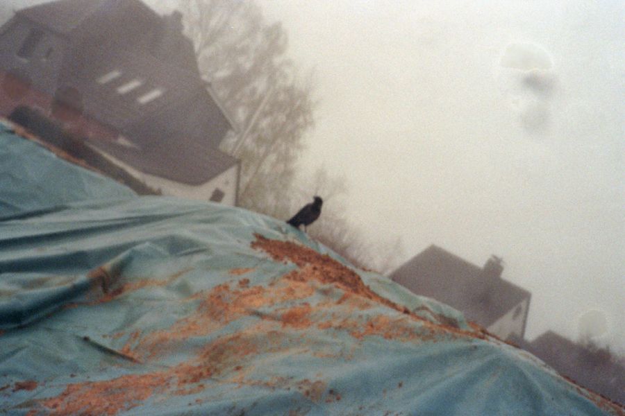 19960.jpg