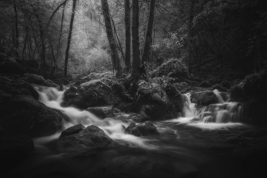 Where Stillness Divides.jpg