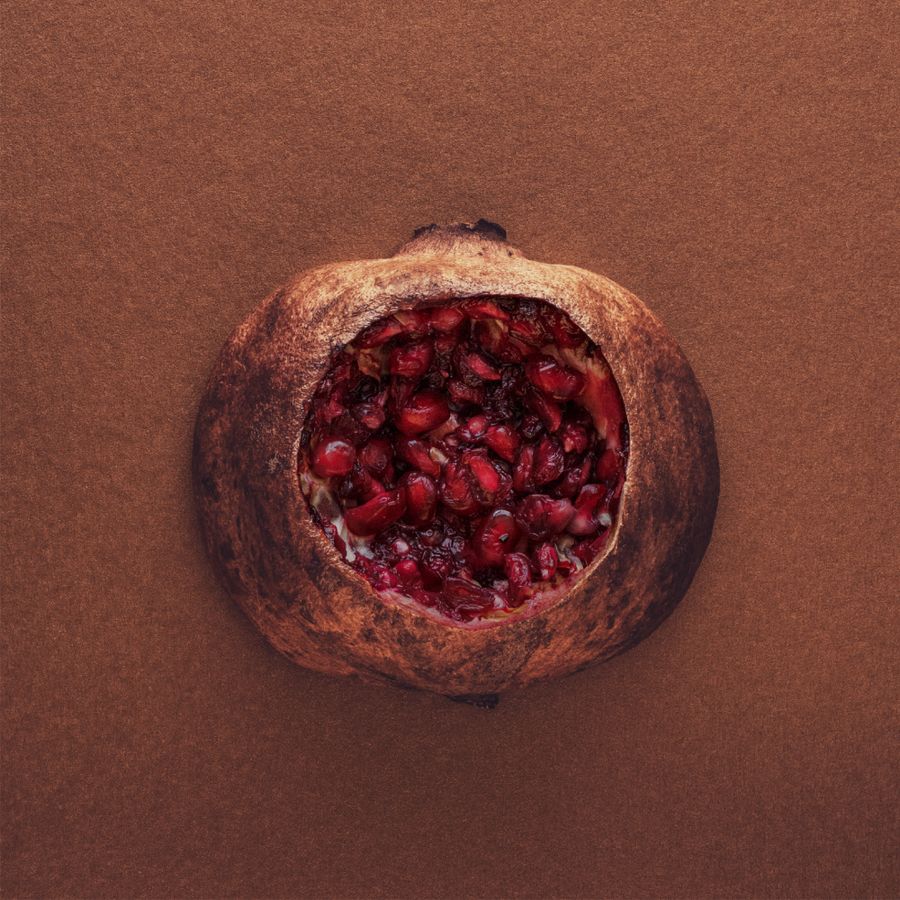 my_brain_eaten_pomegranate_kat_janikowska-leett.jpg