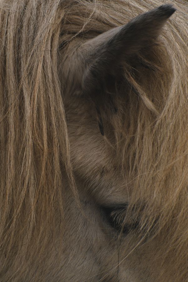 DSC09335-2-2 Kopie.jpg