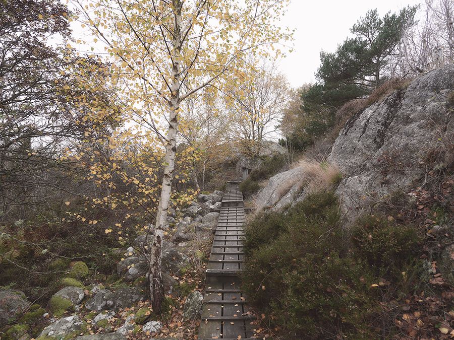 Sussi-C-Alminde-Tjörn-Hiking.jpg