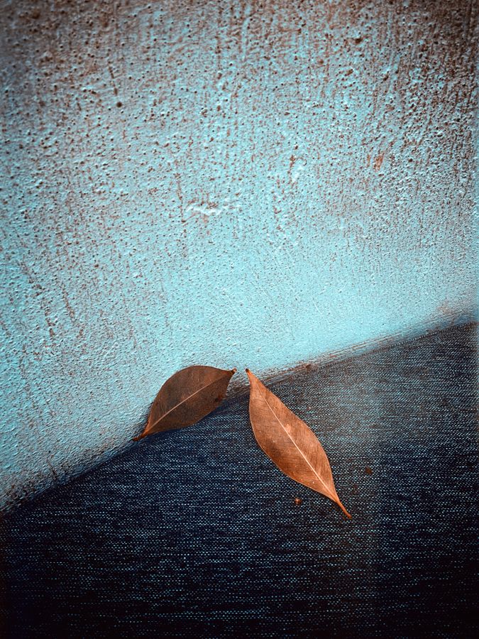 IMG_3323.jpeg