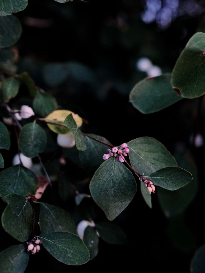 DSCF0254.jpeg