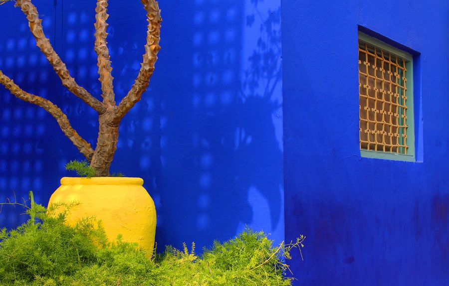Majorelle Gardens.jpg