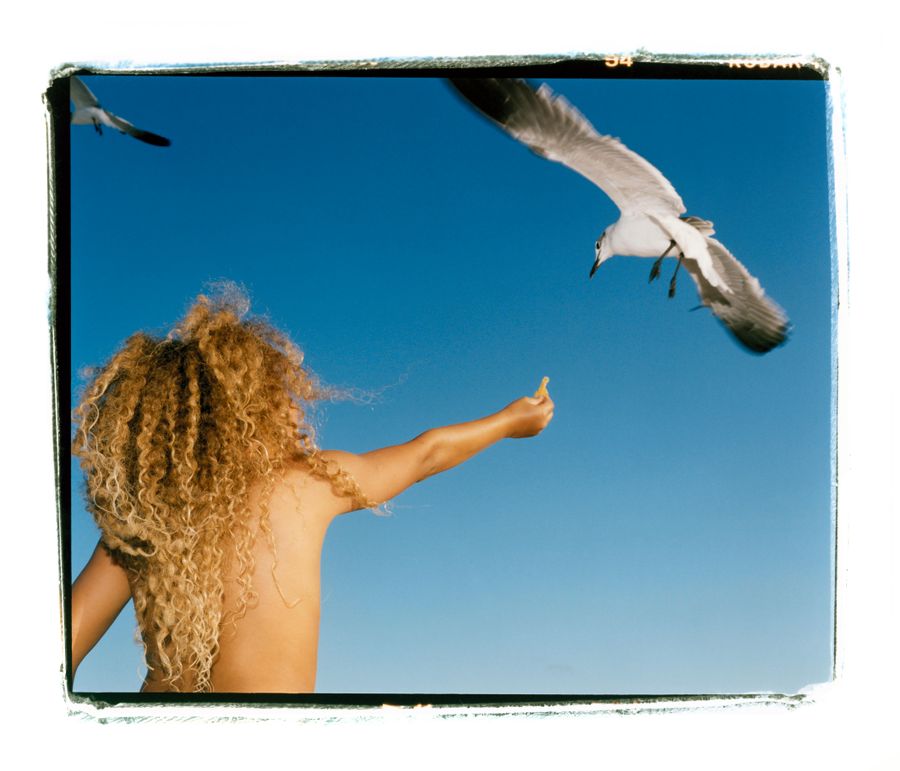 Boy and Seagull 1.jpg