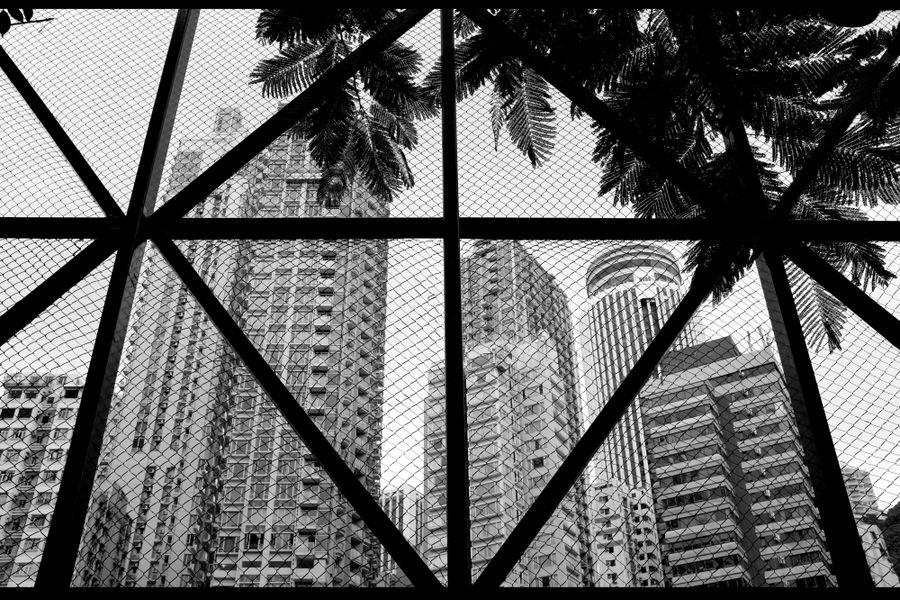 HKG2.jpg