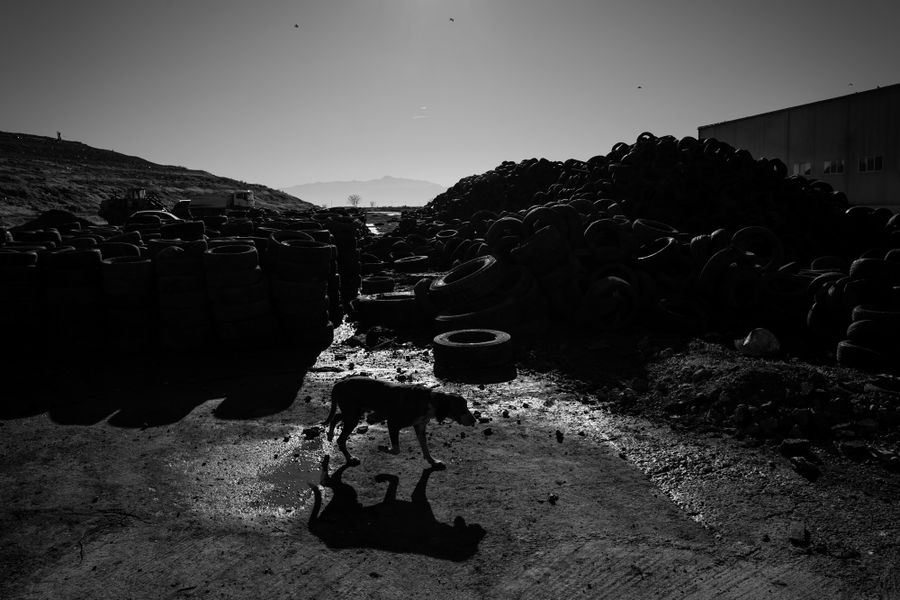 Landscape (1 of 1).jpg