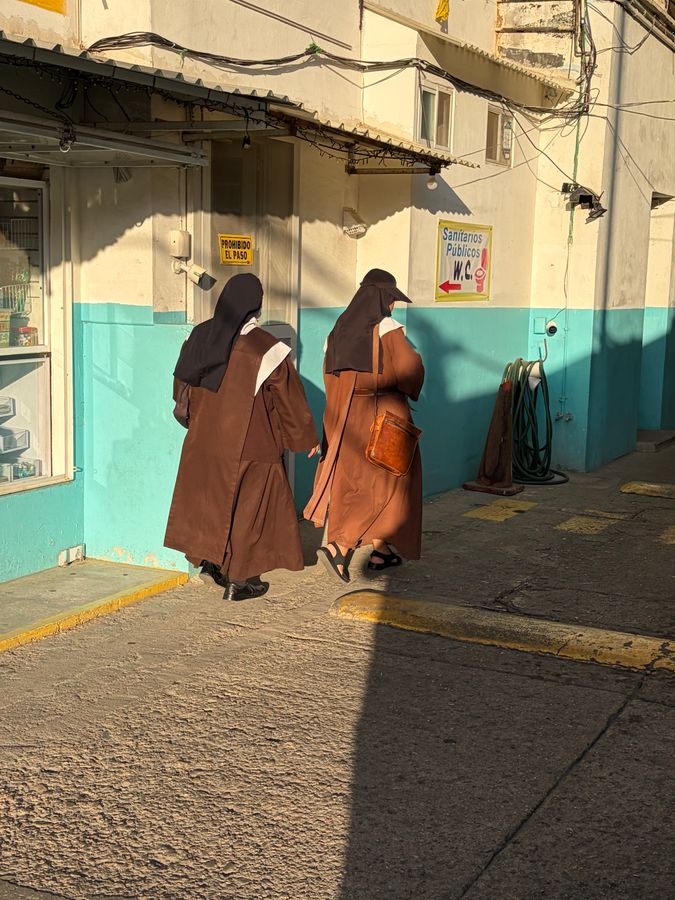 IMG_8987.jpeg