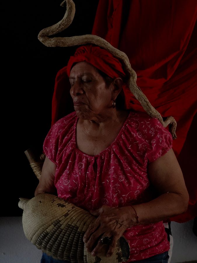 La_serpienteyelarmdillo copia.jpg