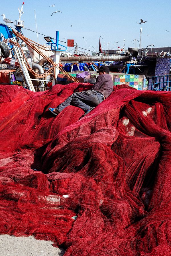 Shinyoung Ma_Essaouira.jpg