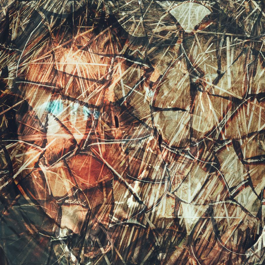 IMG_8228.jpeg