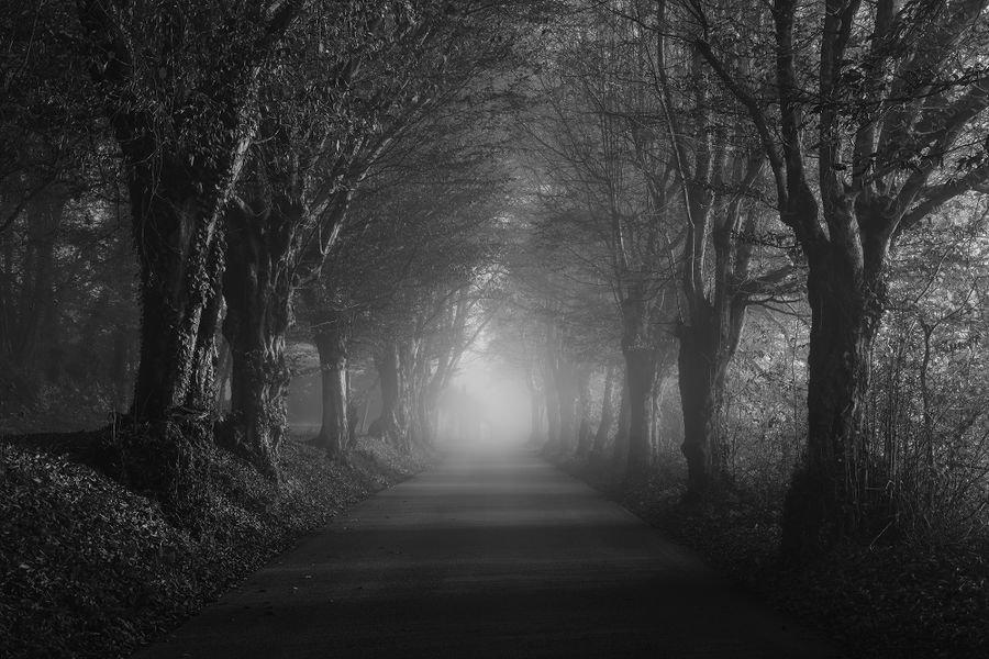 These Dying Souls.jpg