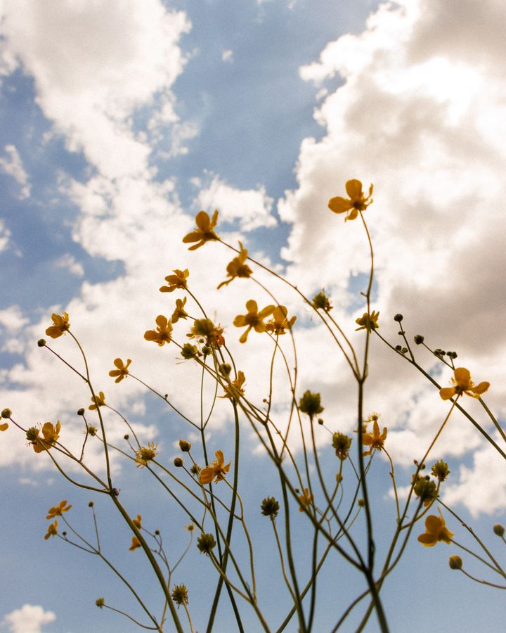 Emir Al Kafadji - Up at the sky.jpg