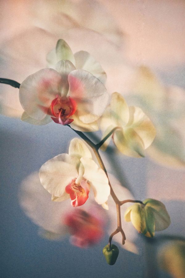 DSCF2207 (2) (1).jpeg