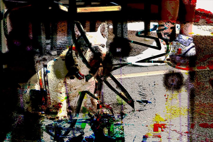 who let the dogs out - Rea Schenk -web.jpg