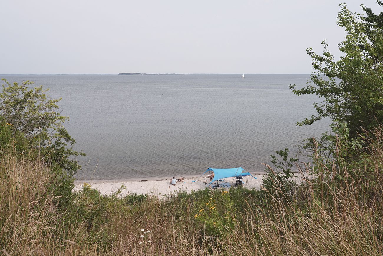 Sussi-C-Alminde-Hejlsminde-11.jpg