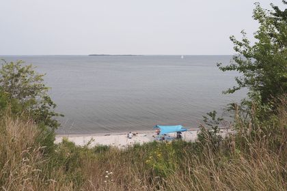 Sussi-C-Alminde-Hejlsminde-11.jpg