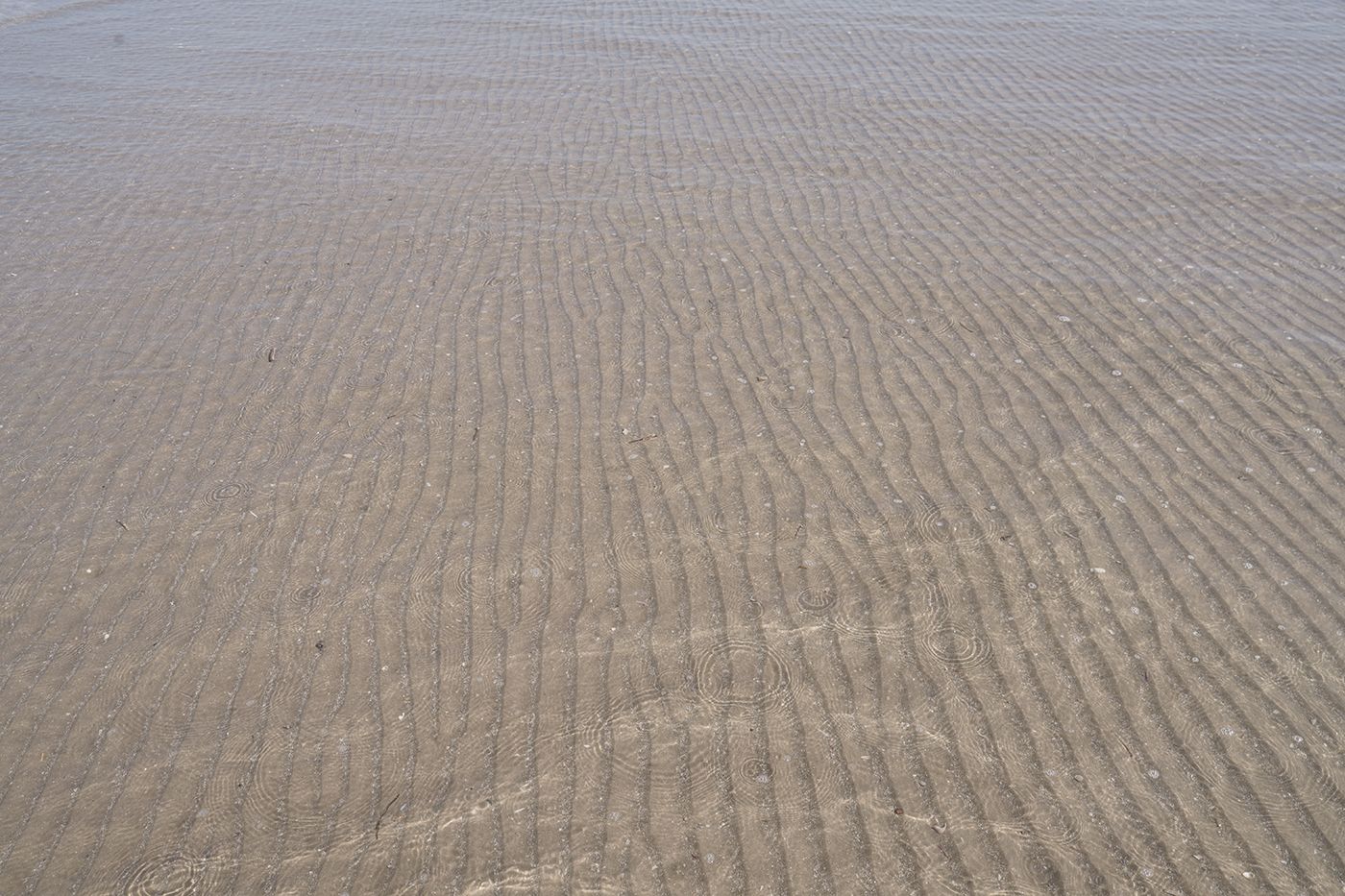 Fanø-FEVER-BEBER-Sussi-C-Alminde-08.jpg