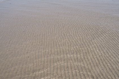 Fanø-FEVER-BEBER-Sussi-C-Alminde-08.jpg