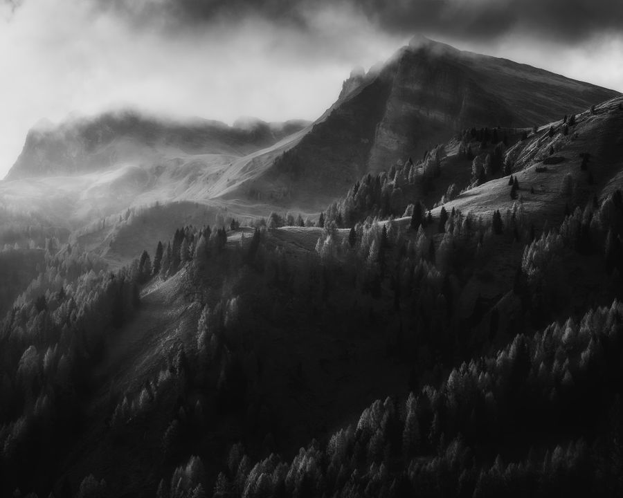 The Reach Of Enchantment.jpg