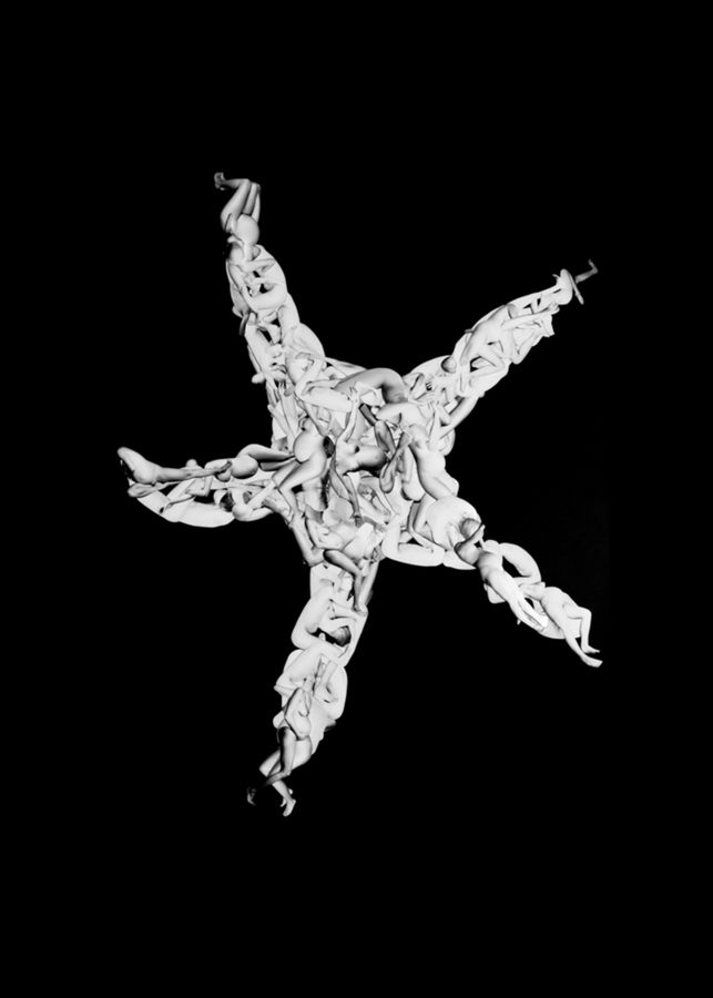ASTEROIDEA Echinodermi Echinodermata. Sama.jpg