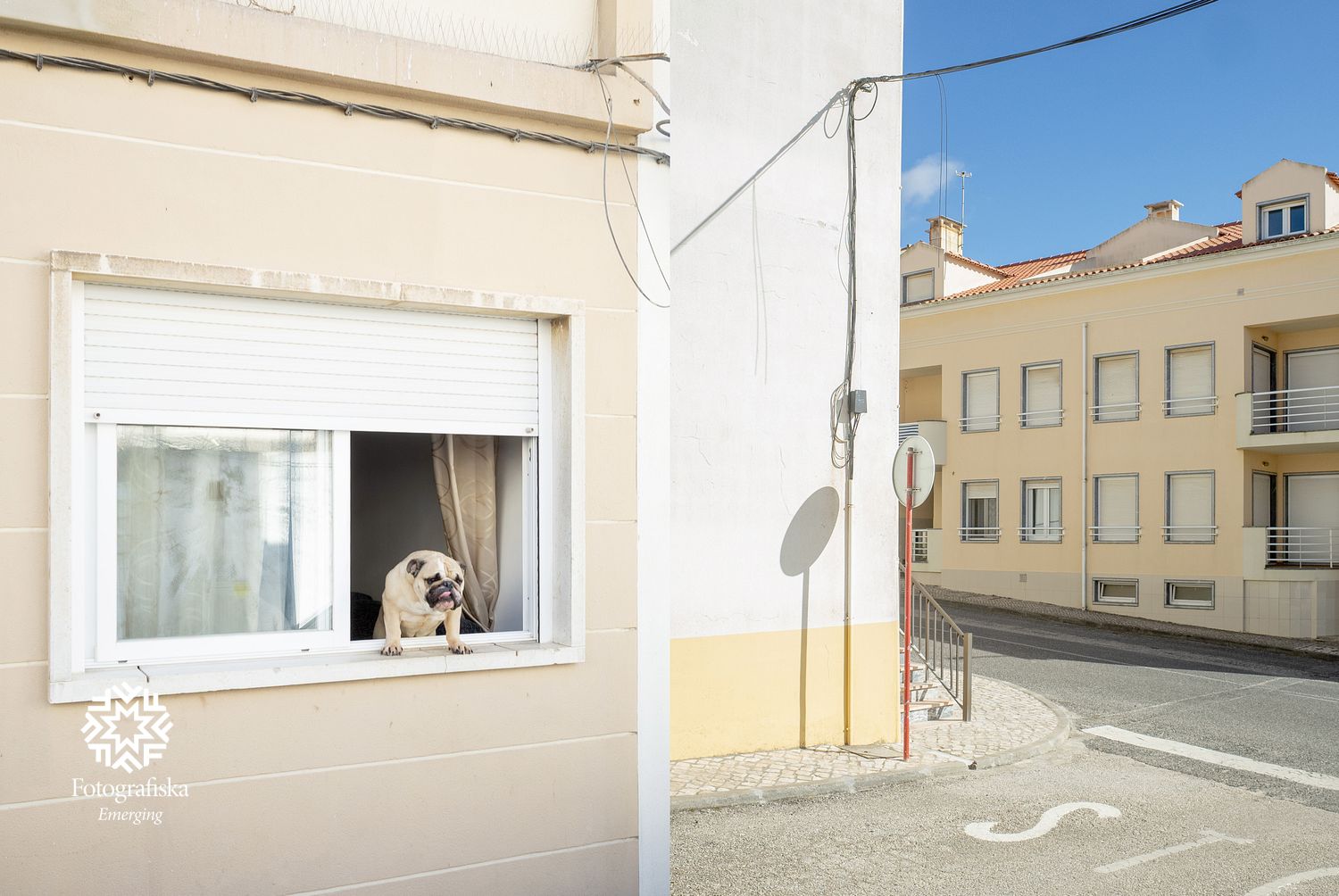 Alessio Righi_The elsewhere 1.jpg