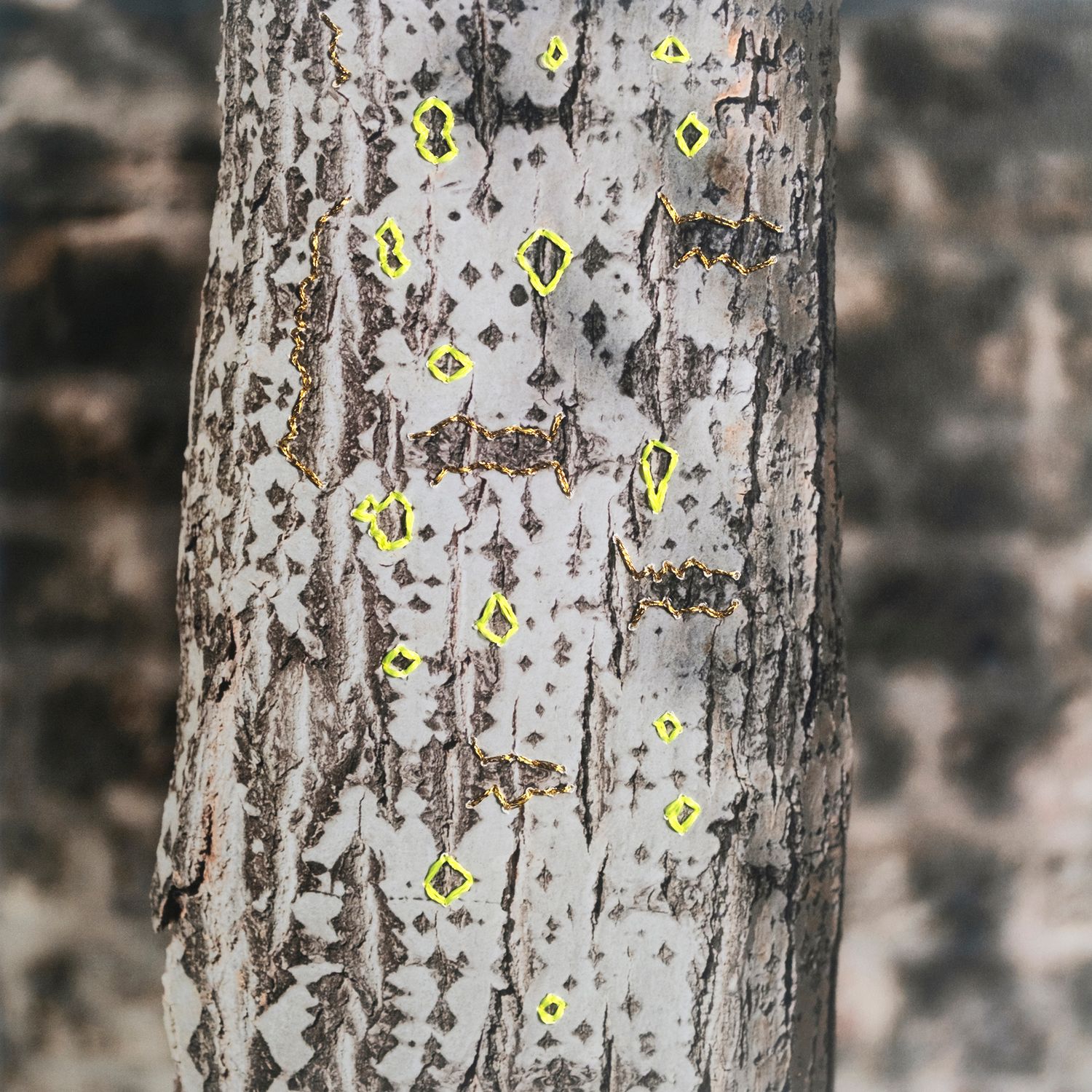 _DSF8982 copie 2.jpg