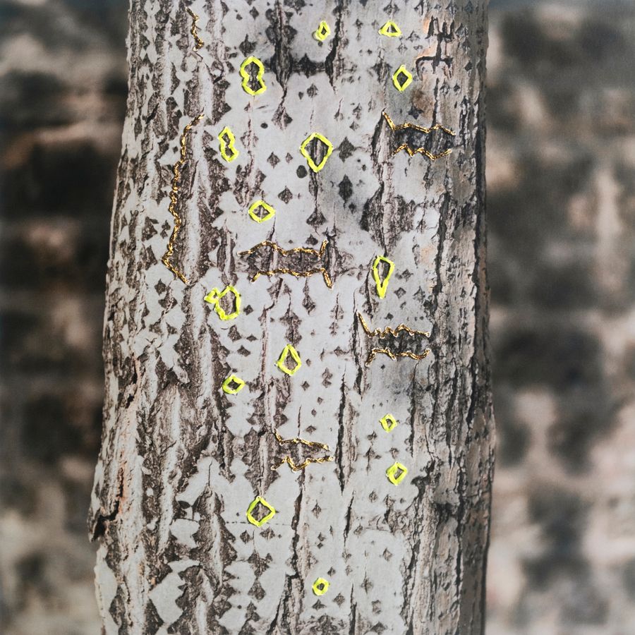 _DSF8982 copie 2.jpg